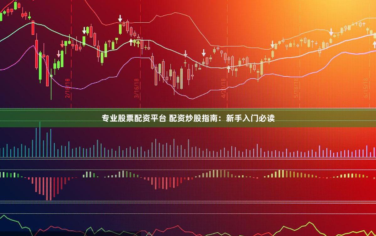 专业股票配资平台 配资炒股指南：新手入门必读