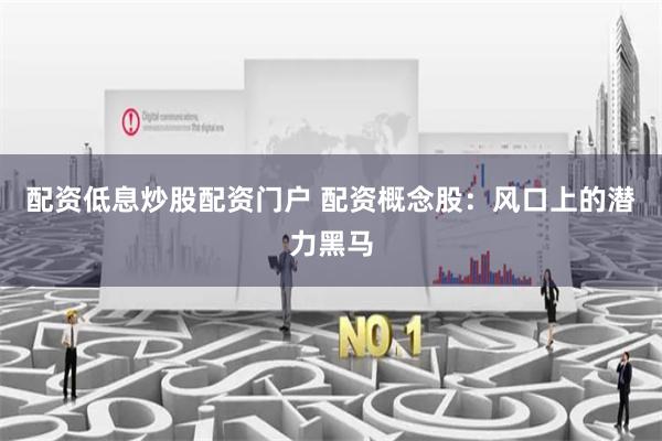 配资低息炒股配资门户 配资概念股：风口上的潜力黑马