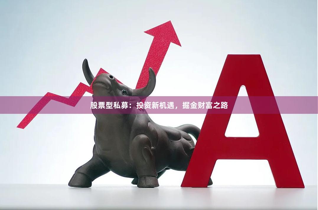 股票型私募：投资新机遇，掘金财富之路