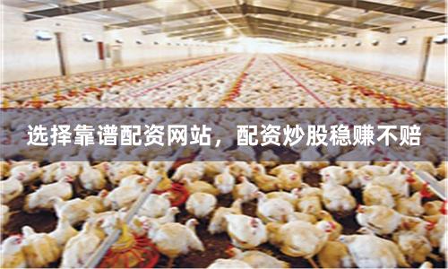 选择靠谱配资网站,配资炒股稳赚不赔