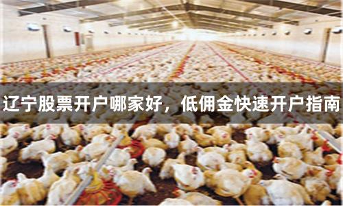 辽宁股票开户哪家好，低佣金快速开户指南