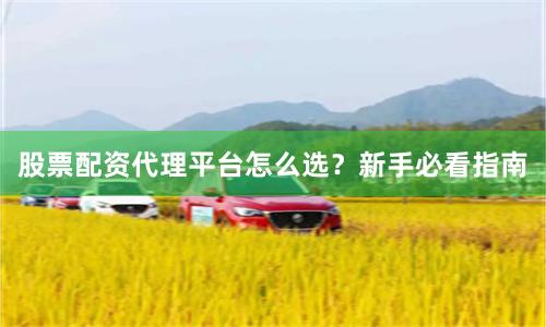 股票配资代理平台怎么选？新手必看指南