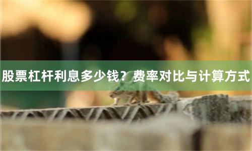 股票杠杆利息多少钱？费率对比与计算方式