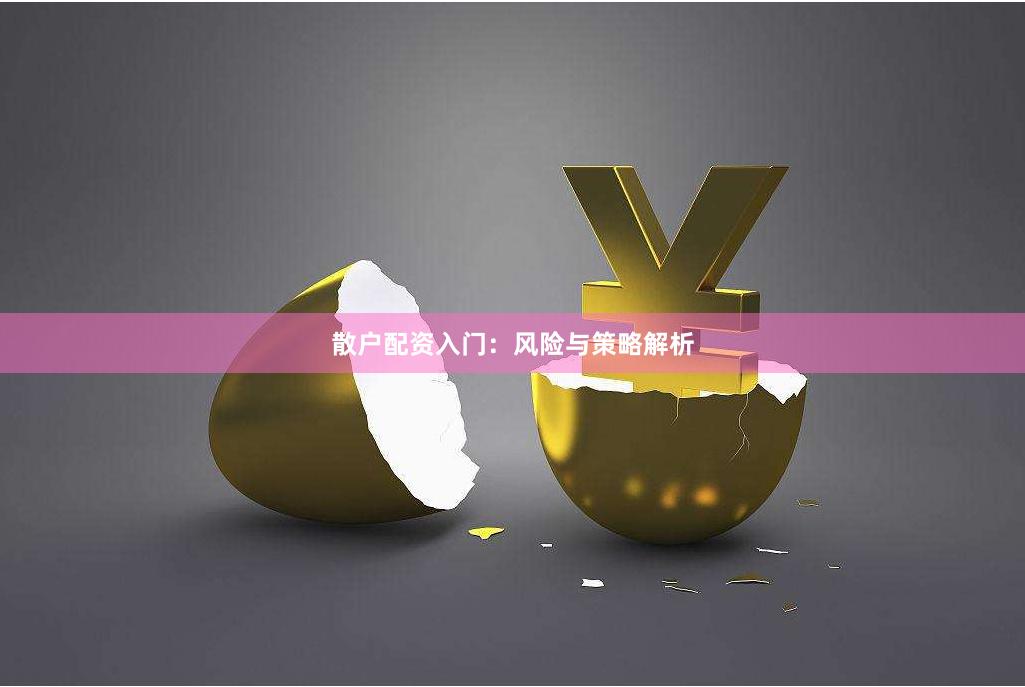 散户配资入门：风险与策略解析
